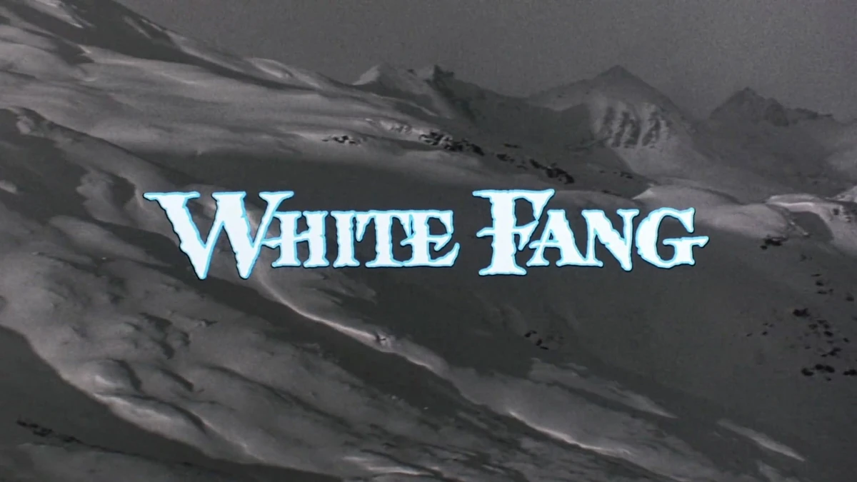 廃盤 2枚組 CD WHITE FANG ホワイト・ファング サウンドトラック White Fang | Disney Channel Broadcast Archives Wiki | Fandom