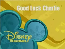 GLC Commercial Bumper 29