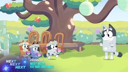2024-12-07 1855pm Bluey