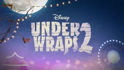 Under Wraps 2 BRB Bumper