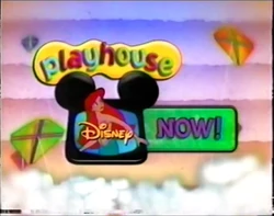 Playhouse Next Bumper (Kites)