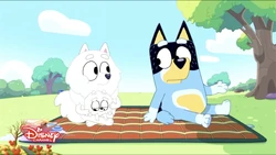 2022-10-27 0730am Bluey