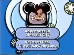 Next Bumper (Winter 1998)
