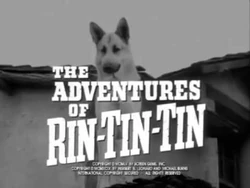Title AdventuresOfRinTinTin