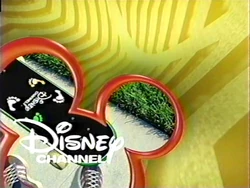 Next Skateboard Yellow