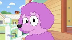 2025-05-01 1530pm Bluey
