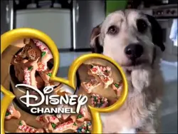 DisneyDog2003
