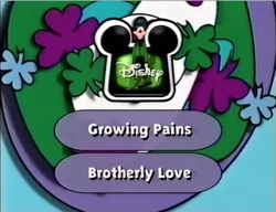 Next Bumper (St. Patrick's Day)