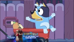 2022-08-01 1000AM Bluey