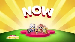 T.O.T.S. Now Bumper Mickey Mornings