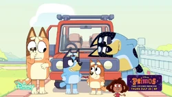 2024-07-18 1100am Bluey