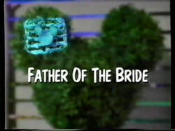 Next Quackertown Topiary