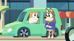 2024-11-29 0600am Bluey