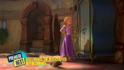 2024-01-15 1815pm Tangled