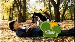 Fall 2010 BRB Bumper