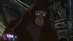 2024-01-01 1255pm Tarzan