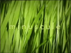 Minuscule Title Card