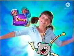 Zoog BRB Bumper 2000