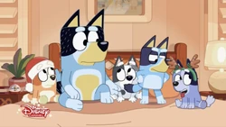 2022-12-15 1230pm Bluey
