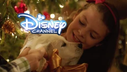 Fa-La-La-Lidays 2014 BRB Bumper 6