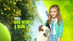 Dog with a Blog Next Bumper Fall 2014
