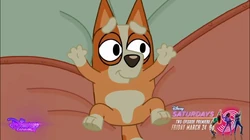 Saturdays Two-Episode Premiere Friday, March 24 9p Screenbug