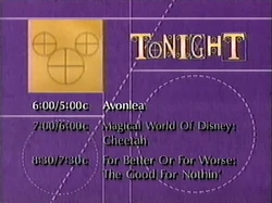 Disney Channel Tonight 1994
