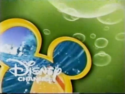 Next Surfboard Green