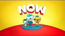 Octonauts Now Bumper