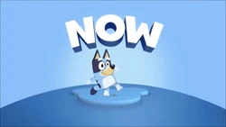 Bluey Now Bumper