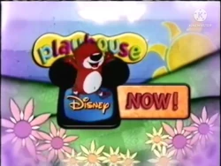 Playhouse Next Bumper (Spring)