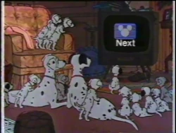Next Daily Dalmatians