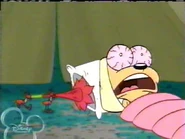 Brandy & Mr. Whiskers July 18, 2005; 3:30am