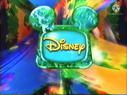 Paint BRB Bumper 2000 2