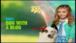 Dog with a Blog Next Bumper Summer 2014