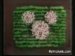 Disney Channel Garden Bumper