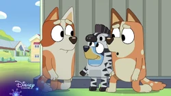 December 31, 2025 | Disney Channel Broadcast Archives Wiki | Fandom