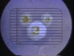 Disney Channel Microscope Bumper