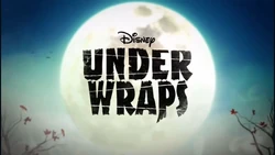 Under Wraps BRB Bumper