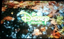 Best Friends Whenever Next Bumper Fall 2015 05