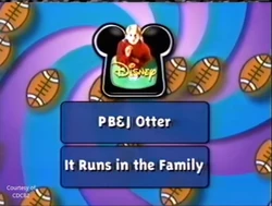 Next Bumper (Football)