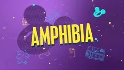 Amphiba BRB Bumper 2019