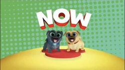 Puppy Dog Pals Now Bumper