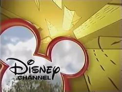 Next Airplanes Yellow