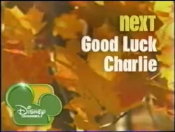 Fall 2010 Next Bumper