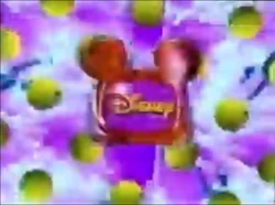 Sports BRB Bumper 2000