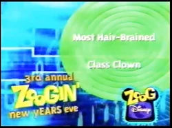 3rd Annual Zoogin' New Year's Eve Next Bumper