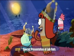 2012-03-02 2015pm Fish Hooks