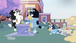 2023-01-03 1430pm Bluey