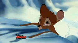 2012-03-30 1230pm Bambi ll